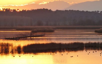 padule di fucecchio. CONTINUANO LE VISITE GUIDATE SERALI-NOTTURNE