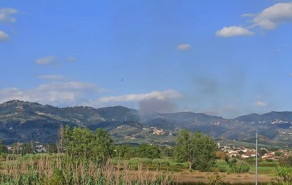 lamporecchio. INCENDIO SUL MONTALBANO