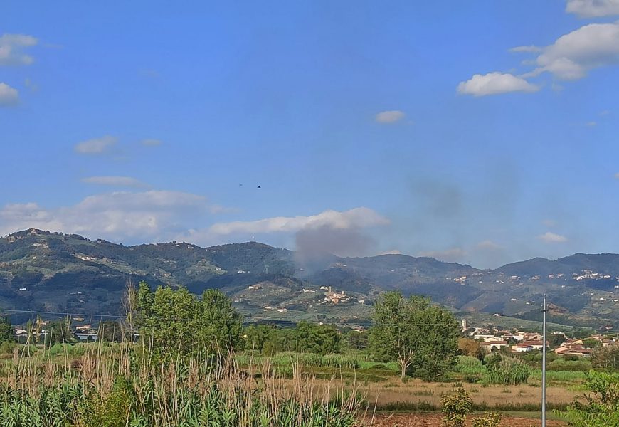 lamporecchio. INCENDIO SUL MONTALBANO