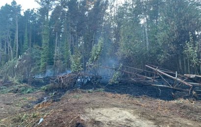 cantagallo. SOTTO CONTROLLO L’INCENDIO BOSCHIVO A GRICIGLIANA