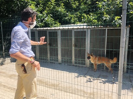 ACCOLTI AL RIFUGIO 10 DEI 71 CANI PROVENIENTI DALLA STRUTTURA ABUSIVA SEQUESTRATA A MOLAZZANA