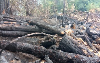 cantagallo. INCENDIO DI GRICIGLIANA, BONGIORNO: GRAZIE AGLI OPERATORI DEL SISTEMA ANTINCENDI BOSCHIVI E AI VOLONTARI