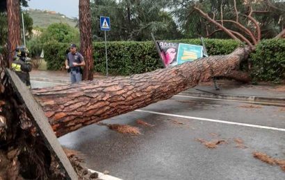 montecatini. MALTEMPO, CADUTI ALCUNI ALBERI IN CITTÀ