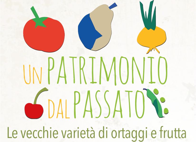 ANCI. VECCHIE VARIETÀ DI ORTAGGI E FRUTTA, UN GRANDE PATRIMONIO DA RISCOPRIRE