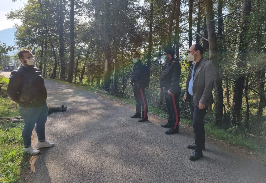 montemurlo. CERVO SBRANATO DAI LUPI IN VIA BARONESE