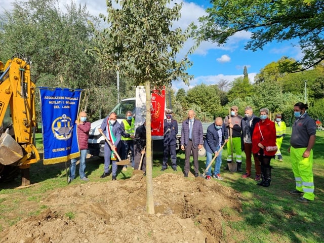 montemurlo. UN ALBERO IN RICORDO DI TUTTE LE VITTIME SUL LAVORO