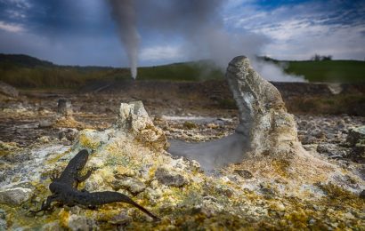 ENEL LEADER NELLA LOTTA AL CAMBIAMENTO CLIMATICO SECONDO CDP