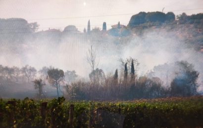 quarrata. SI RIQUALIFICA IL GIARDINO DELLA SCUOLA DELL’INFANZIA DI CATENA