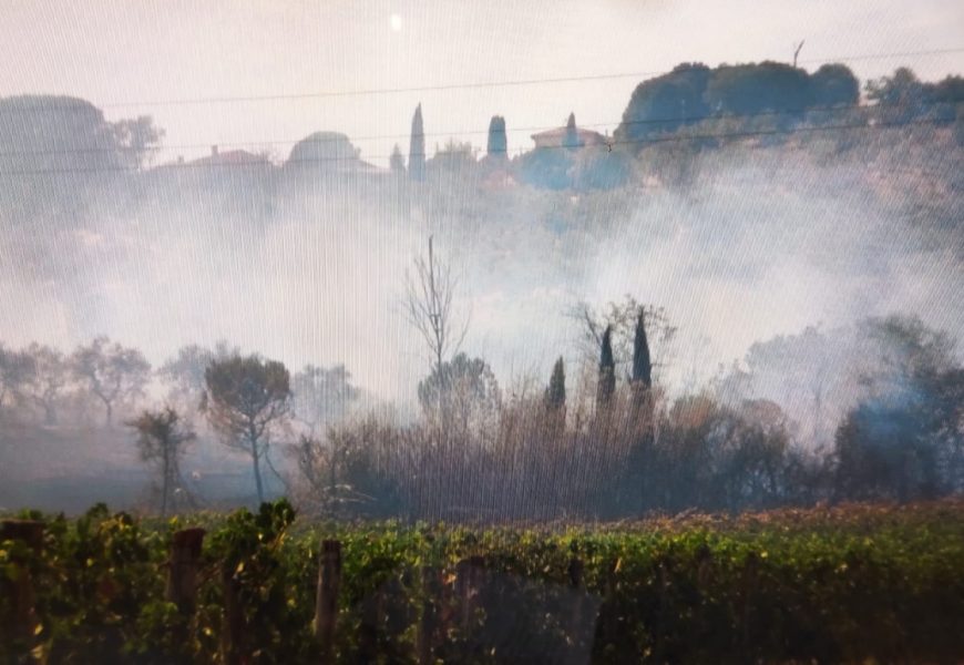 quarrata. SI RIQUALIFICA IL GIARDINO DELLA SCUOLA DELL’INFANZIA DI CATENA