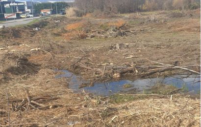 discarica inceneritore. L’ACQUA SCURA DEL LAGHETTO DI VIA TOBAGI