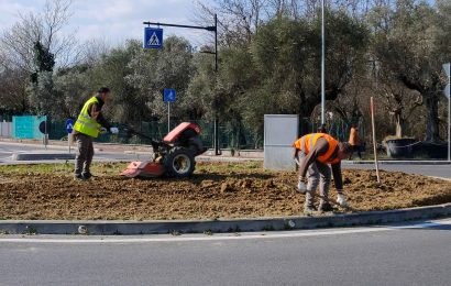 AVIS E GRUPPO MATI 1909 ‘ADOTTANO’ DUE ROTATORIE, IN VIA MATTEOTTI E IN VIA SALUTATI