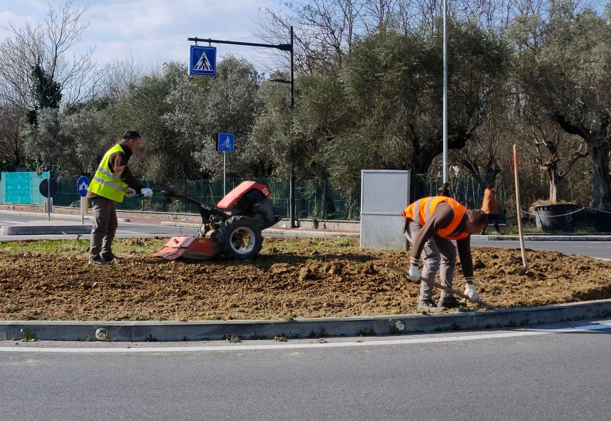 AVIS E GRUPPO MATI 1909 ‘ADOTTANO’ DUE ROTATORIE, IN VIA MATTEOTTI E IN VIA SALUTATI