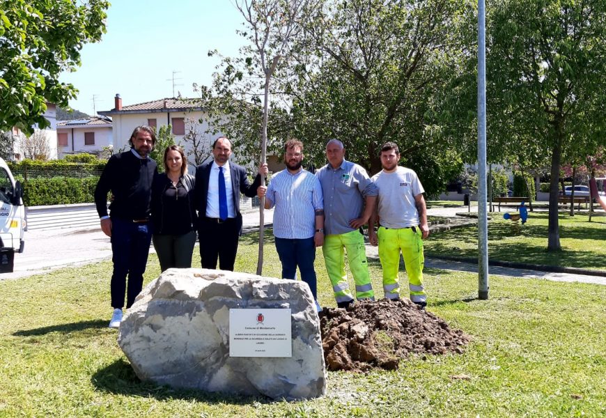 montemurlo. UN ALBERO DAI FIORI ROSA IN MEMORIA DI LUANA D’ORAZIO AD UN ANNO DALLA SUA SCOMPARSA