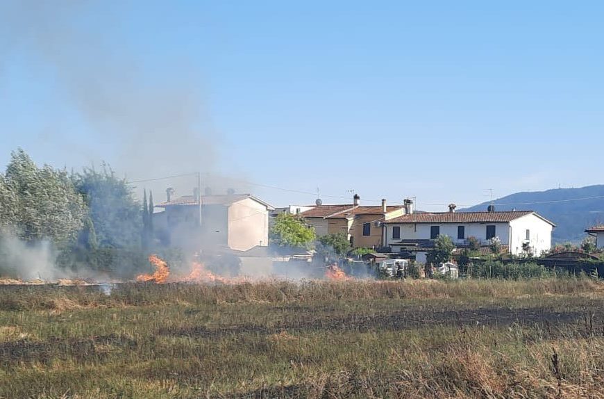 quarrata. INCENDIO DI STERPAGLIE A CASE GELLI