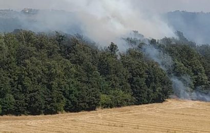 carmignano. INCENDIO DI STERPAGLIE A COMEANA, INTERVIENE L’ELICOTTERO