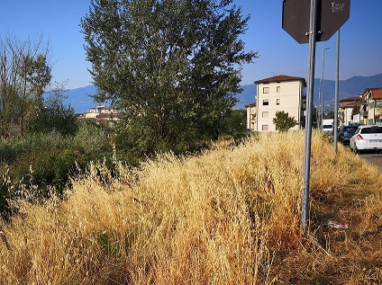 quarrata. PREVENZIONE INCENDI, LA LEGA INTERROGA IL SINDACO