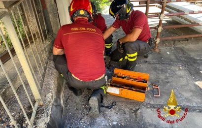 vaiano. AVVENTURA A LIETO FINE PER UN GATTO INFILATO IN UNA CONDOTTA