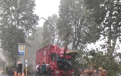 maltempo. UN ALBERO AD ALTO FUSTO CADE SU UN MEZZO PESANTE, FERITO IL CONDUCENTE