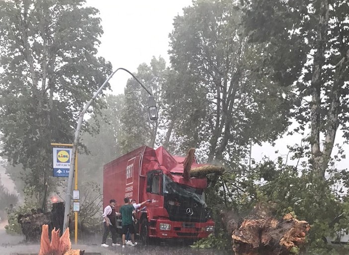 maltempo. UN ALBERO AD ALTO FUSTO CADE SU UN MEZZO PESANTE, FERITO IL CONDUCENTE