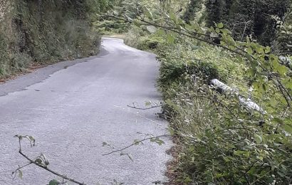 san marcello piteglio. RITARDI NEI LAVORI SUI TRATTI VIARI PERIFERICI, IL GRUPPO INSIEME PRESENTA UNA INTERPELLANZA