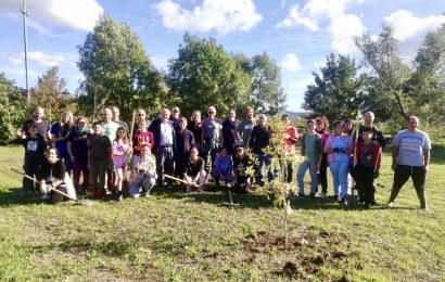 quarrata. 120 ALBERI IN PIÙ AL MOLLUNGO. NUOVO SUCCESSO PER IL PROGETTO “ARBOREO”