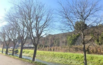 VERDE PUBBLICO: PARTONO I LAVORI DI ABBATTIMENTO DEGLI ALBERI MALATI E A RISCHIO CADUTA