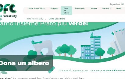 “DONA UN ALBERO” PER FARE PRATO PIÙ VERDE