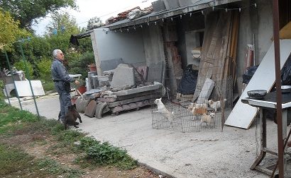 BLITZ DELLA POLIZIA PROVINCIALE: SEQUESTRATI 65 CANI DETENUTI IN CONDIZIONI DI CATTIVITÀ