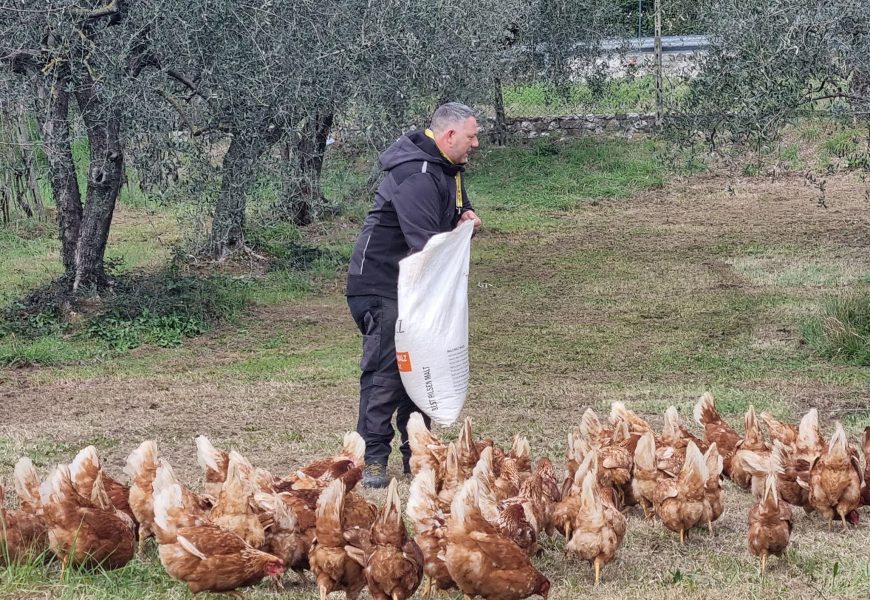 A MONTEMURLO IL POLLAIO PIÙ “FELICE” D’ITALIA