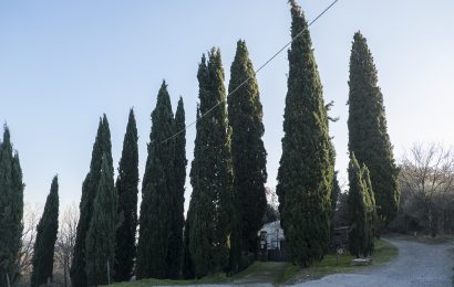 CIMITERO DI GERMINAIA: DA MARTEDÌ PARTONO I LAVORI DI MANUTENZIONE STRAORDINARIA