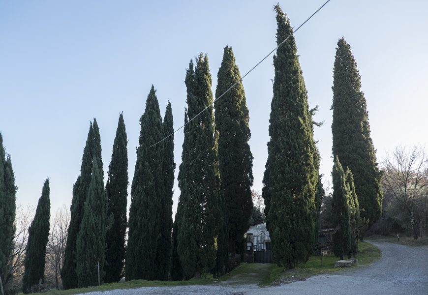 CIMITERO DI GERMINAIA: DA MARTEDÌ PARTONO I LAVORI DI MANUTENZIONE STRAORDINARIA