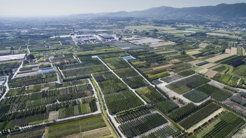 IL PRESIDENTE DELL’ASSOCIAZIONE VIVAISTI ITALIANI SUL PROGETTO “GREEN VALLEY”: “SBAGLIATO NON COINVOLGERCI SIN DALLA GESTAZIONE”