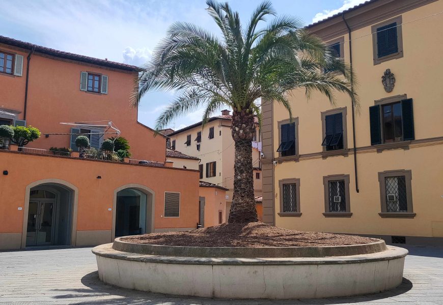 IN PIAZZA DELLO SPIRITO SANTO È ARRIVATA LA PALMA