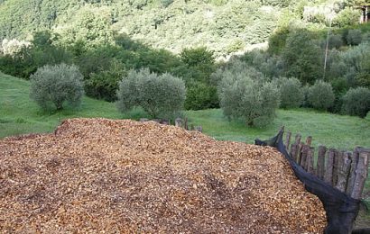 IL MODELLO FORESTALE PISTOIESE È VIRTUOSO E FA SCUOLA NEL MONDO