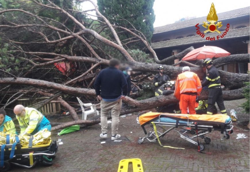 UN GROSSO PINO CADE SULLA BAITA DI BABBO NATALE, TRAGEDIA SFIORATA A MONTECATINI