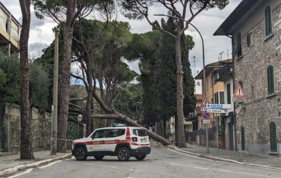 montecatini. EMERGENZA VENTO, DOMANI SCUOLE CHIUSE E MERCATO SETTIMANALE RINVIATO