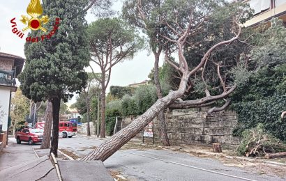 VENTO, DA STAMANI QUASI OTTANTA INTERVENTI EFFETTUATI DAI VIGILI DEL FUOCO