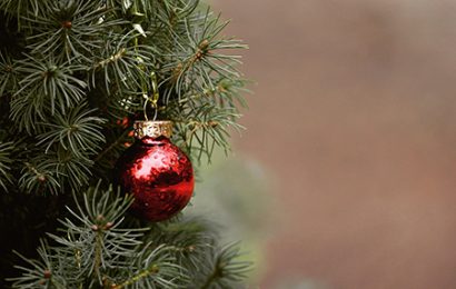 ECOCENTRI E CASSONETTI DESTINATI AI RIFIUTI ORGANICI. ECCO COME SI POSSONO SMALTIRE GLI ALBERI DI NATALE