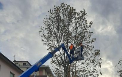 viabilità. INTERVENTI DI MANUTENZIONE DEL VERDE IN UN TRATTO DI VIA DEL VILLONE