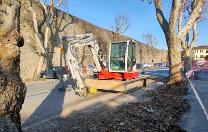 viale matteotti. INIZIANO I TAGLI DEI PLATANI COMPROMESSI. LE PIANTE SARANNO SOSTITUITE CON SEDICI ALBERI