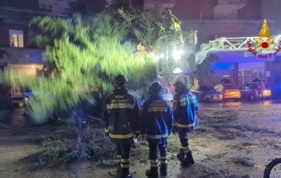 ALBERO CADE SU UNA AUTO, ILLESO IL CONDUCENTE