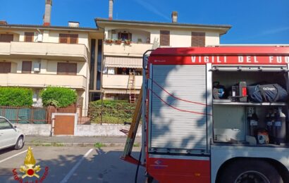 INCENDIO IN UNA ABITAZIONE, I VIGILI DEL FUOCO SALVANO UN GATTO