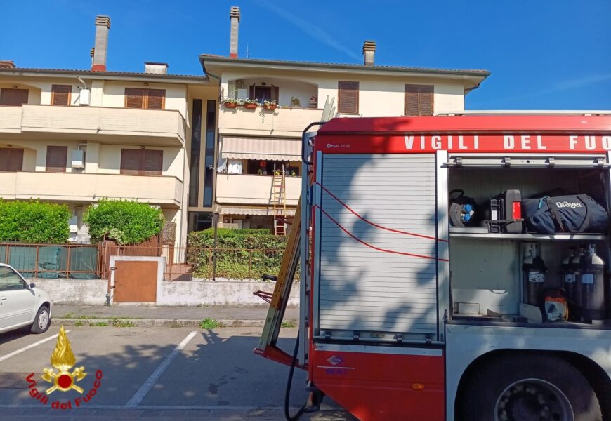 INCENDIO IN UNA ABITAZIONE, I VIGILI DEL FUOCO SALVANO UN GATTO