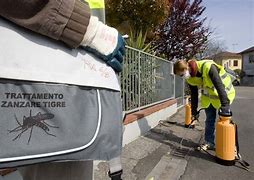 CASO DENGUE A OSTE, TERMINATA LA DISINFESTAZIONE. DOMANI ANCORA ATTENZIONE ALL’ARGINE DEL FUNANDOLA