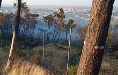 ANCORA SORVEGLIANZA E ISPEZIONI PER L’INCENDIO IN GALCETI