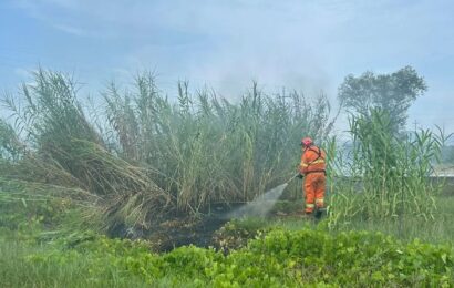 quarrata. A FUOCO SCARTI DI LAVORAZIONE DI MATERASSI, L’INCENDIO HA INTERESSATO ANCHE UN CANNETO