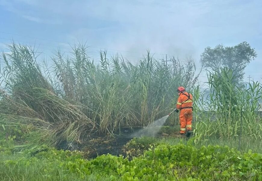 quarrata. A FUOCO SCARTI DI LAVORAZIONE DI MATERASSI, L’INCENDIO HA INTERESSATO ANCHE UN CANNETO