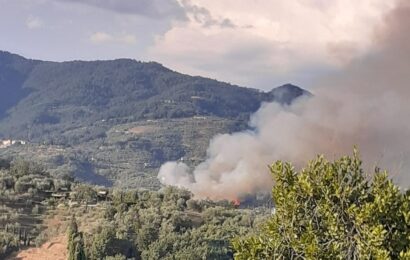 massa e cozzile. INCENDIO BOSCHIVO NELLA ZONA DI VIA VACCHERECCIA