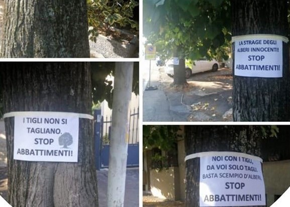 SIT-IN DI PROTESTA CONTRO L’ABBATTIMENTO DEGLI ALBERI IN VIA FIRENZE