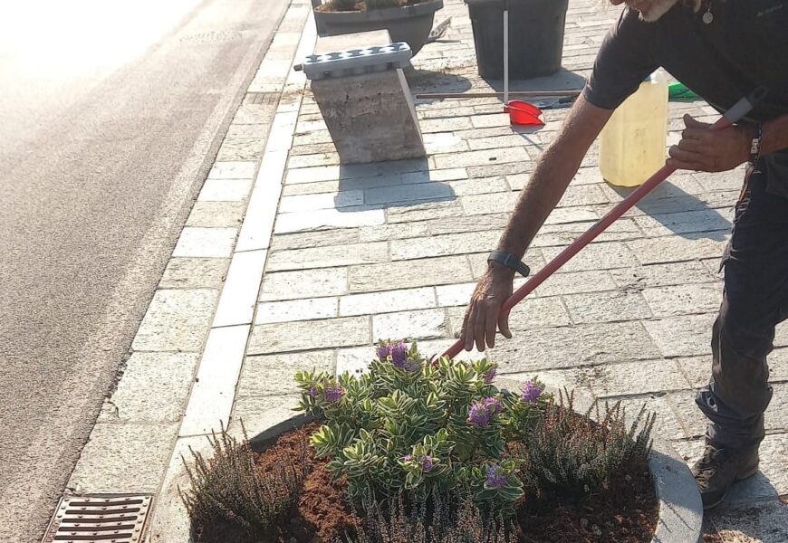 quarrata. VERDE PUBBLICO E DECORO URBANO, APPALTATO IL SERVIZIO